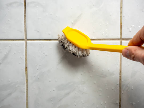 Reliable Anthony, KS Mold Remediation Solutions