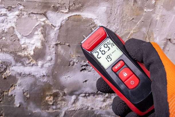 Best Crawl Space Mold Remediation in Anthony, KS